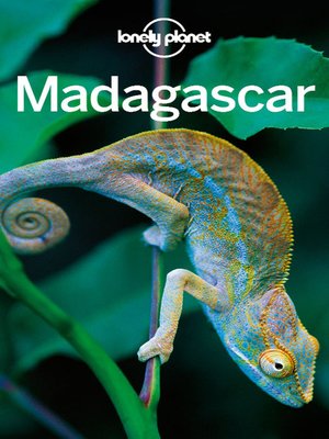 cover image of Madagascar Travel Guide